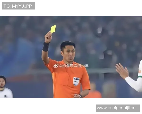 裁判评议揭示赛季争议蓉城因判罚损失最多西海岸意外获利四次