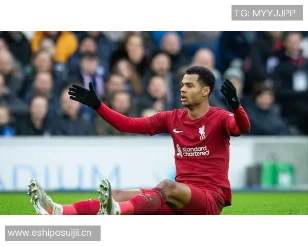 罗马冬窗或以多夫比克换取埃弗顿前锋贝托的交易可能性分析 罗马冬窗或以多夫比克换取埃弗顿前锋贝托的交易可能性分析